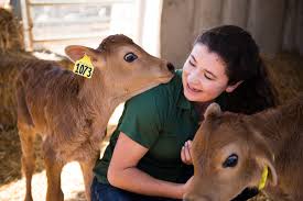 Animal Science